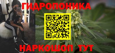 твердый Новоалександровск