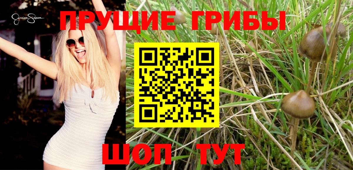 Псилоцибиновые грибы MAGIC MUSHROOMS Архангельск